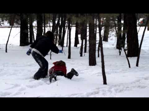 Snow Fight: A Fight in the Snow