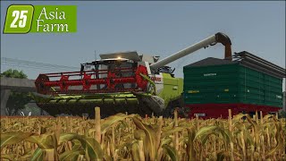 LS 25 Asia Farm #37 Hirse ernten und Raps säen