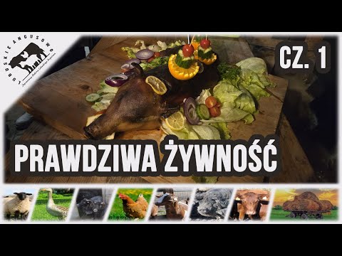Lubuskie Angusowo - S8 E31 - Trip to Hungary - White Mangalice and real food part 1