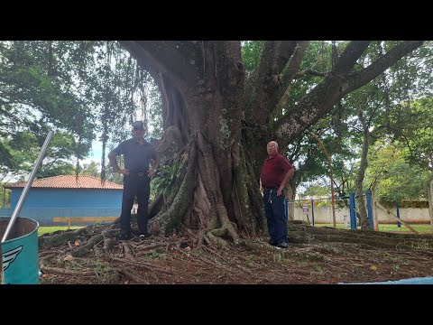 O CAFÉ ESTAVA MUITO BOM  ,PASSOS MINAS GERAIS 