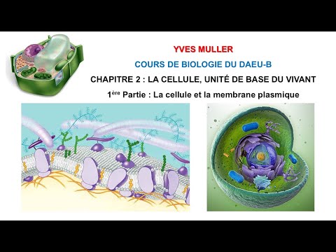 Chapitre 2 – 1ère Partie : La cellule et la membrane plasmique - Cours de Biologie du DAEU-B