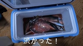 島きち丸でビシアジ