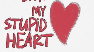 Download lagu My Stupid Heart Walk off the Earth... mp3