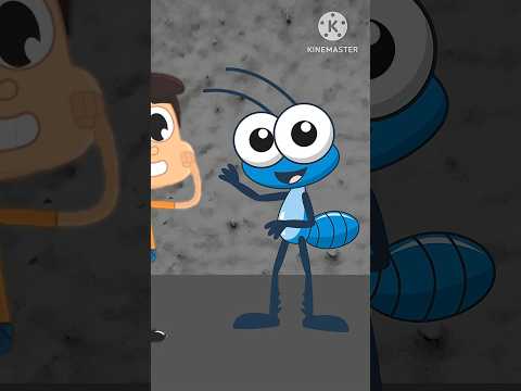 Bob Zoom Obra Comunicação Visual Teria Carqueijo Mucambo CE Monta Trenk