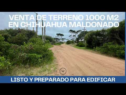 VMA1022 VENTA DE TERRENO 1000 MT2 CHIHUAHUA MALDONADO