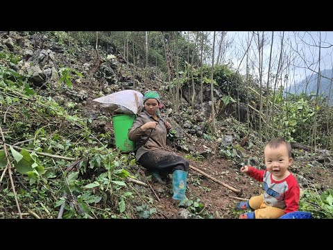 Single mother Ly Thi Hoa was given a plot of abandoned land by a kind woman.