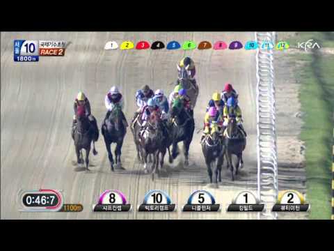 Seoul International Jockey Challenge 2012 - Race 2