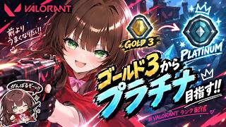【VALORANT】そろそろプラチナ上がりたいよ？参加〇