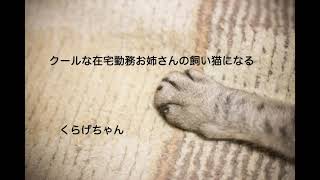 【男性向けボイス】クールな在宅勤務お姉さんの飼い猫になる【くらげちゃん】