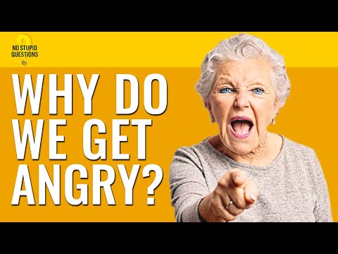 Why Do We Get Angry? | No Stupid Questions | Episode 139