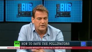 Save the Pollinators!