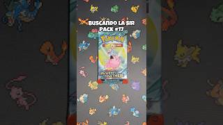 Buscando la SIR pack 17 | Journey Together