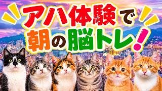 【脳トレで認知機能アップ】毎朝の脳活で健康習慣を！