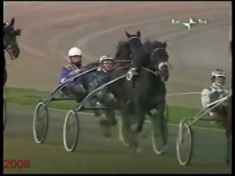 DERBY DEL TROTTO 2008 LANA DEL RIO