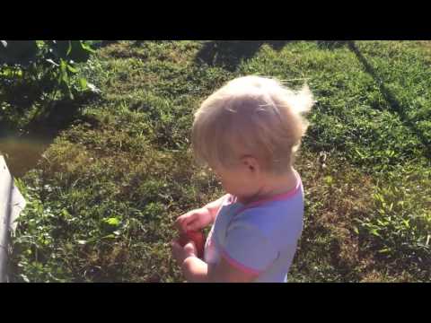 Baby Squishing Tomatoes