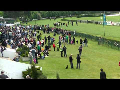 VIDEO Atmosféra při I. kvalifikaci na Velkou pardubickou s Českou pojišťovnou