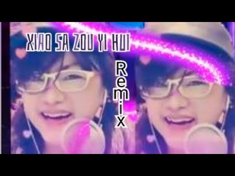 Xiao Sa Zou Yi Hui 潇洒走一回 / 瀟灑走一回 Remix karaoke no vocal mandarin  - 葉蒨文 Sally Yeh