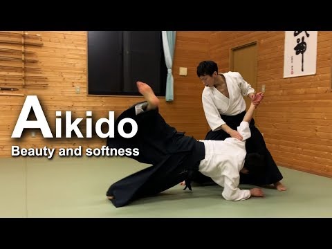 Beautiful and soft High Level Aikido ‐ Shirakawa Ryuji shihan