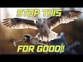 I Did This ONE Thing To Stop Birds Attacking My Drone