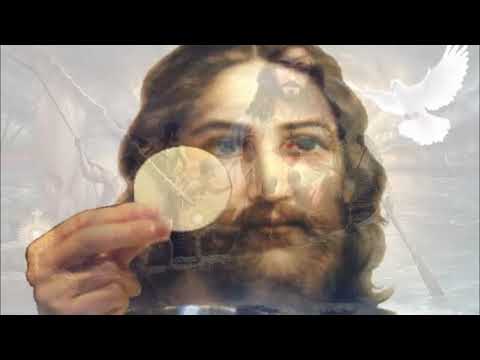 Alabanzas De Jubilo Sanación y Liberación Renovación Carismática Divina Misericordia