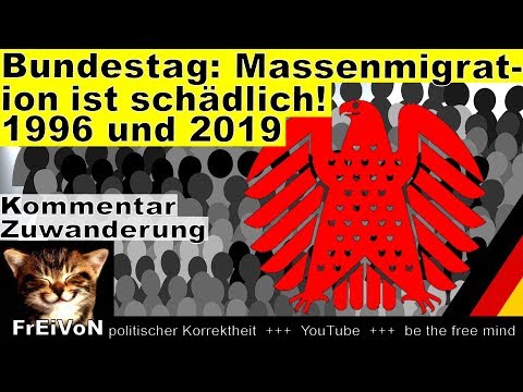 Bundestag: Massenmigration ist schädlich! 1996 und 2019 * Kommentar HD