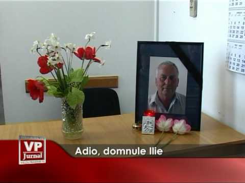 Adio, domnule Ilie