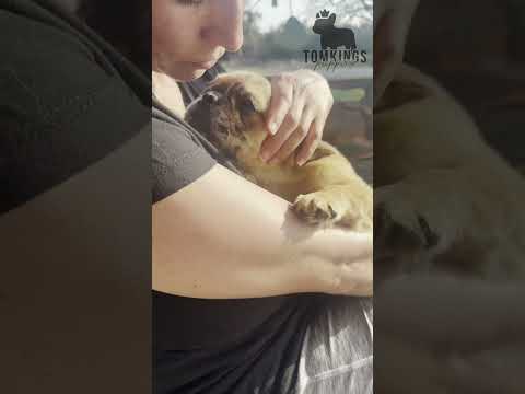 Video 5