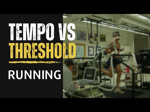 Tempo Run vs Threshold Run Strategy Tips for ALL Runners