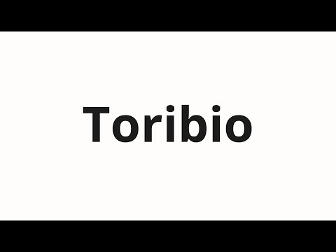 How to pronounce Toribio