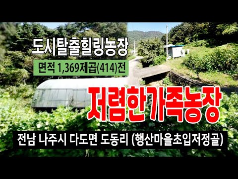 저정골 영상