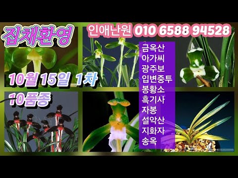 유튜브 썸네일