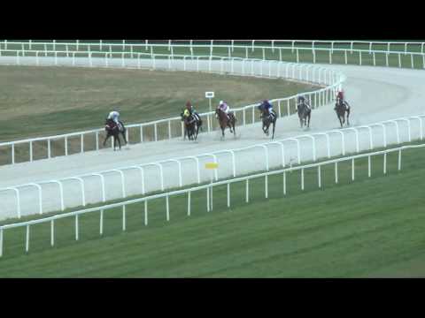 2017.06.18. 6. futam - NÉMETH FERENC EMLÉKKUPA III. FUTAMA HENDIKEP (IV.o.) (szintetikus pálya)