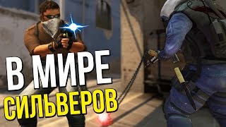 В МИРЕ СИЛЬВЕРОВ #21 | CS:GO