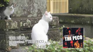preview picture of video '【Japanese punkrock】THE PECO 「花-Flower-」【日本語パンクロック】'