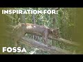 4 Real Fossa Habitats Planet Zoo Tropical Pack Inspiration