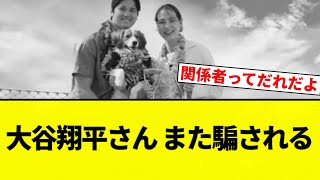 【また嘘つかれたんか...】大谷翔平さん、また騙される。ハワイの別荘いまだ建築開始されず【プロ野球反応集】【2chスレ】【なんG】
