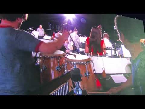 Thumbnail for Mi Tierra - Catalina Cuervo and MUSE/IQUE Orchestra by Rhythm section, Gloria Estefan, Concert, Y&T