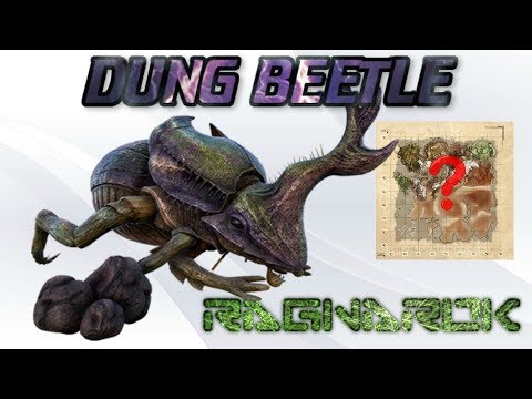 Ragnarok | Where to find Dung Beetles