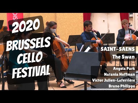 SAINT-SAENS The Swan | Angela Park, Natania Hoffman, Victor Julien-Laferriere, Bruno Philippe