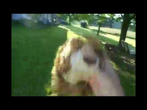 Fuli's Den Part 4 - Phineas Gets in Trouble