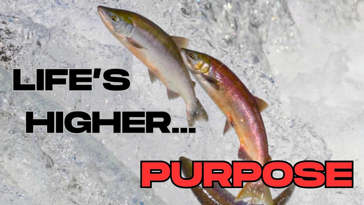 Sunday Worship Service | "Life's Higher...Purpose" | Rev. Putnam | 09.08.2024