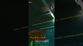 『タルコフ』神グレでちった