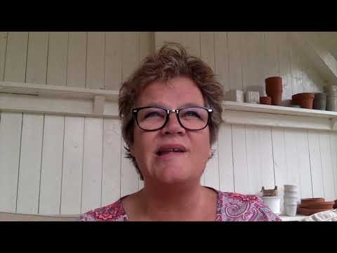 Hur ska vi rädda bina 2