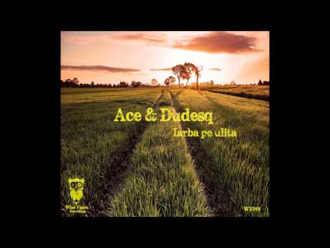 Ace & Dudesq - Tolanit (MWS remix)