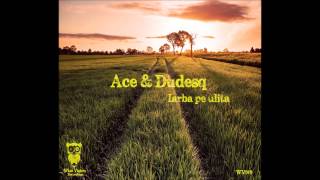 Ace & Dudesq - Tolanit (MWS remix)