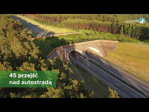 Tworzymy infrastrukturę przyjazną dla środowiska