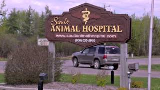 preview picture of video 'Sault Animal Hospital - Short | Sault Ste Marie, MI'