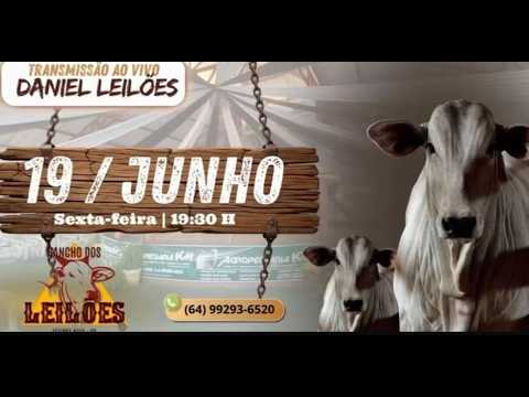 Fazenda Nova - GO   19/06/2026