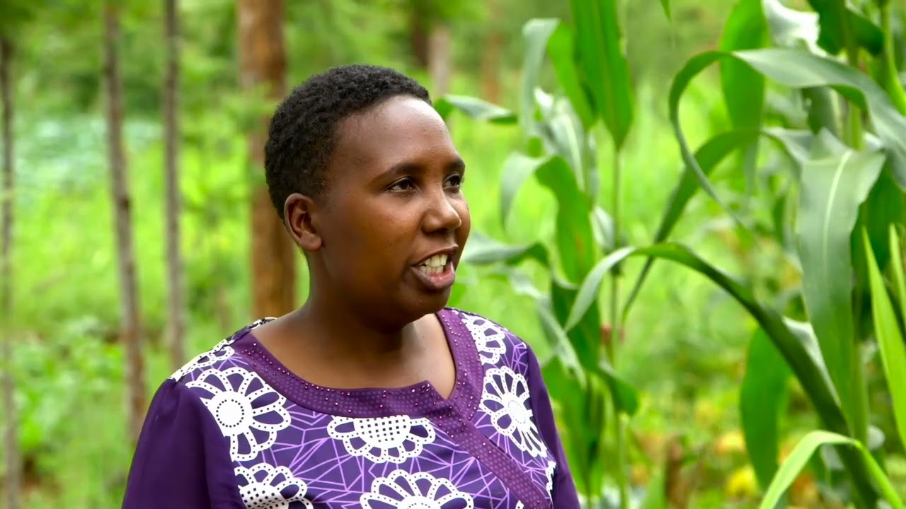 SSU Kenya  Season 13 -  Episode 23  (Farm 19) - Post harvest management (Eng)