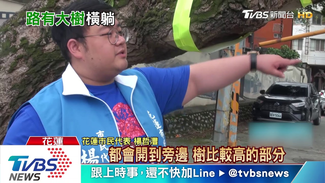 過低!路樹橫向長 機車後座乘客遭擊落